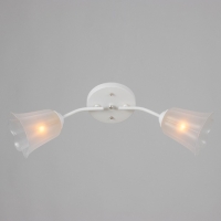 Люстра "Онлайн" (цветок) 2х15Вт Е27 МОДЕЛЬ: BR 00197 белый/прозрачный Люстра "Онлайн" (цветок) 2х15Вт Е27 МОДЕЛЬ: BR 00197 белый/прозрачный