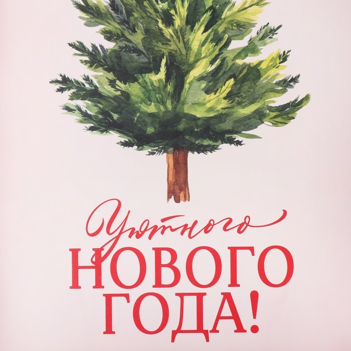 Коробка подарочная с PVC крышкой &laquo;Уютного нового года!&raquo;, ёлочка, 20 х 30 х 8 см, Новый год