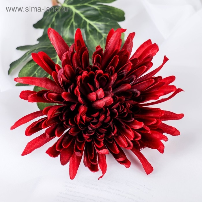 Цветы искусственные Цветы искусственные "Астра пионовидная" 17х63 см, бордовый