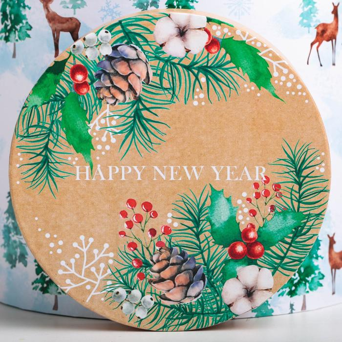 Набор подарочных коробок 5 в 1 &laquo;Европейский&raquo;, 13 х 14‒19.5 х 22 см, Новый год