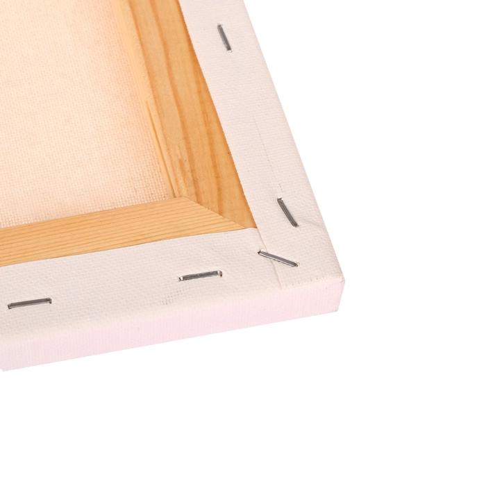 Холст на подрамнике, хлопок 100%, 50 х 60 х 1.8 см, акриловый грунт, мелкозернистый &laquo;Студия&raquo;