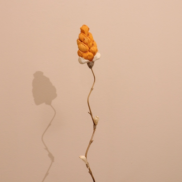 Сухоцвет на бамбуковом стебле 150 см оранжевый Сухоцвет на бамбуковом стебле 150 см оранжевый