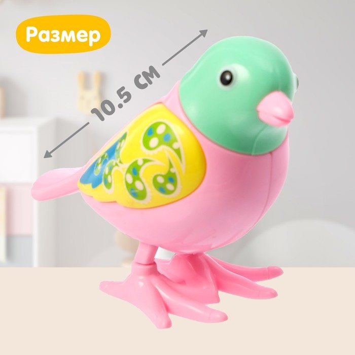 Игрушка заводная «Яркая птичка», МИКС Игрушка заводная «Яркая птичка», МИКС
