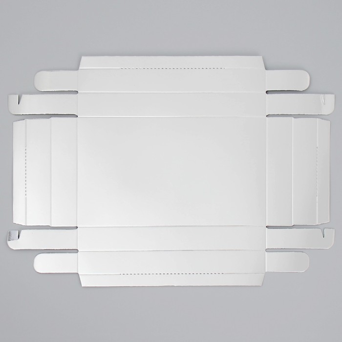 Коробка кондитерская &laquo;Серебристая&raquo;, 22 х 8 х 13.5 см