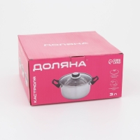 Кастрюля из нержавеющей стали Доляна &laquo;Чёрная ночь&raquo;, 3 л, с крышкой