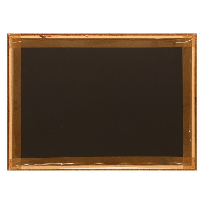 Гобеленовая картина Гобеленовая картина "Пионы в вазе " 53*73 см рамка микс