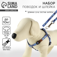 Комплект «Любимчик», шлейка 24-36 см, поводок 120х1 см Комплект «Любимчик», шлейка 24-36 см, поводок 120х1 см