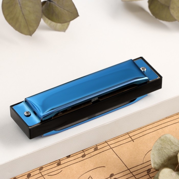 Губная гармошка Music Life T003 C диатоническая, 10 отверстий, с футляром, синяя