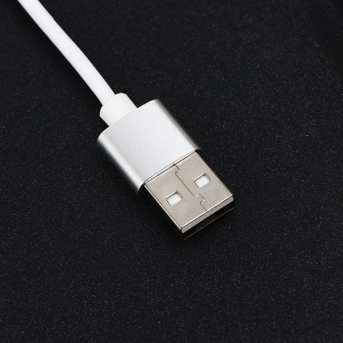 Ежедневник новогодний со встроенным зарядным устройством 8000 мАh и флешкой 16 ГБ, 17,5 х 24 см.