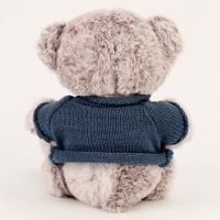 Мягкая игрушка &laquo;Медвежонок&raquo;, 20 см, в кофте, цвет серый