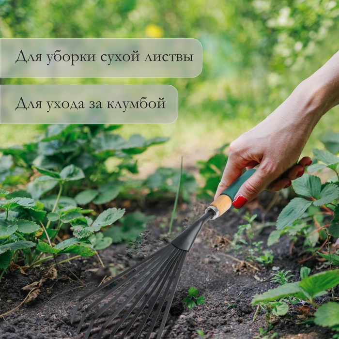 Грабли малые, веерные, пластинчатые, 9 зубцов, длина 42 см, металл, деревянная ручка с поролоном, Greengo