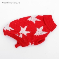 Свитер, размер 6 (24-28 см), микс расцветок Свитер, размер 6 (24-28 см), микс расцветок