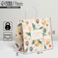 Пакет подарочный новогодний крафтовый &laquo;Сказочный праздник&raquo;, 25 х 22 х 12 см, Новый год