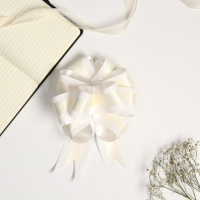 Бант-шар №5 Бант-шар №5