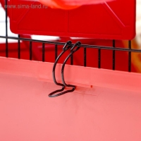 Клетка для грызунов "Хома 4", 55 x 37 x 42 см, микс цветов Клетка для грызунов "Хома 4", 55 x 37 x 42 см, микс цветов