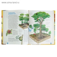 Большая энциклопедия школьника &laquo;Как это работает?&raquo;