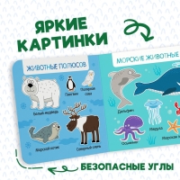 Картонная книга &laquo;Первая книга. Удивительные животные&raquo;, 10 стр., 15 &times; 15 см, Синий трактор