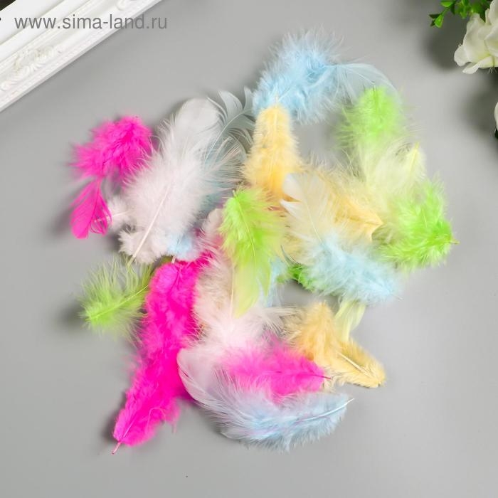 Перья декоративные Перья декоративные "Карнавальные", 5-8 см (набор 24 шт) 6 цветов, пастель, ассорти