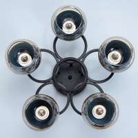 Люстра "Айрис" 5хЕ27 40Вт чёрный 47х47х23 см BayerLux