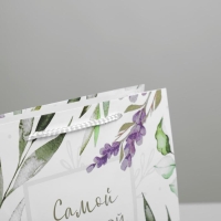 Пакет подарочный ламинированный, упаковка, &laquo;Best wishes&raquo;, ML 21 х 25 х 8 см