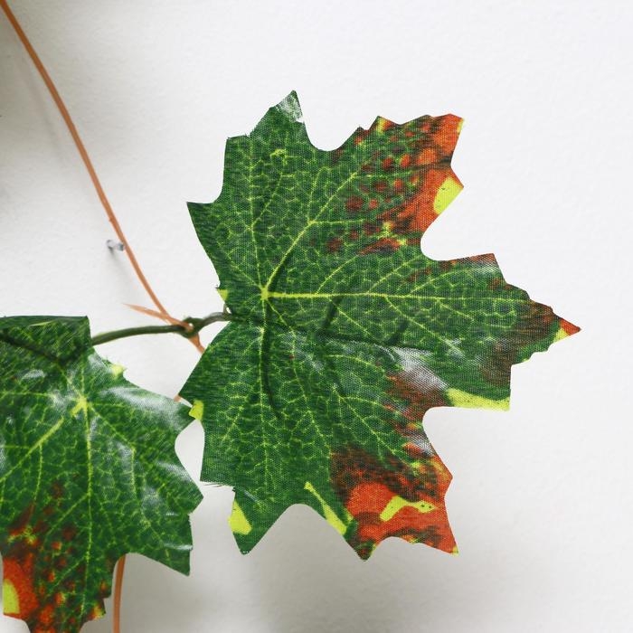 Лиана Лиана "Кленовый лист" 230 см