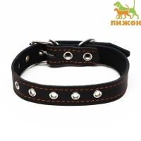 Ошейник кожаный на синтепоне, безразмерный, 54 х 2,5 см, ОШ 19-47 см, чёрный Ошейник кожаный на синтепоне, безразмерный, 54 х 2,5 см, ОШ 19-47 см, чёрный