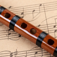 Флейта Music Life 56 см, тональность C