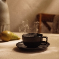 Чайная пара фарфоровая SL Home &laquo;Дарк&raquo;, 2 предмета: чашка 300 мл, блюдце d=16,5 см, цвет чёрный