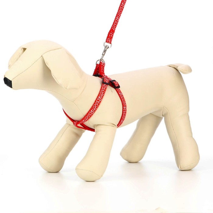 Комплект прошитый "Жираф", ширина 1 см, поводок 120 см, шлейка 23-35 см, красный