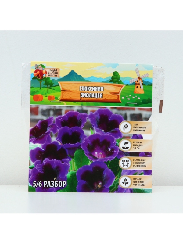 Глоксиния &laquo;Виолацея&raquo;, многолетник, комнатный, луковица в пакете с перфорацией, р-р 5/6, 2 шт.