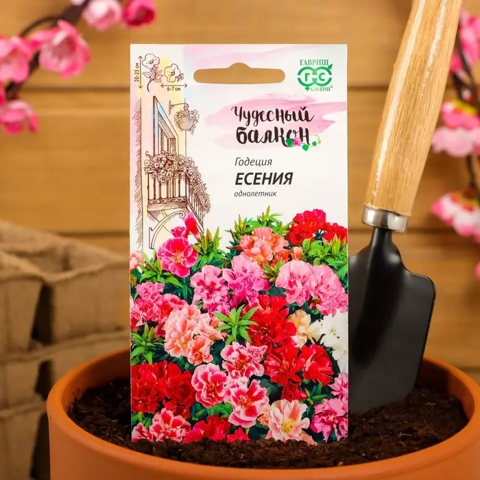 Семена цветов Годеция "Есения", ц/п,  низкая, смесь, серия Чудесный балкон,  0,05 г