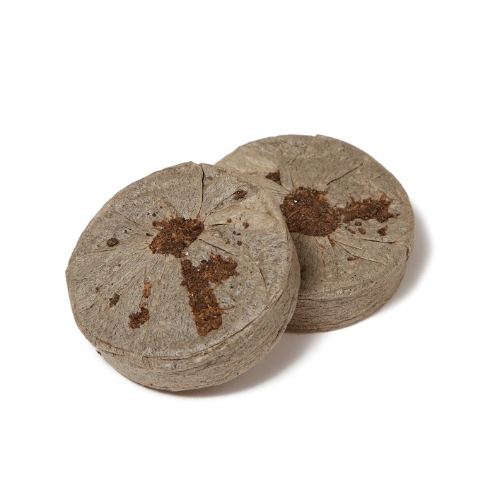 Мини-парник для рассады: торфяная таблетка d = 4,2 см (18 шт.), парник 36 &times; 25 см, зелёный