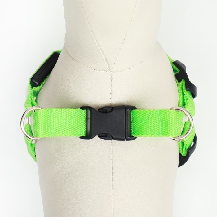 Шлейка светящаяся размер S, стропа 2,5 см, ОГ 32-40 см, 3 режима свечения зелёная