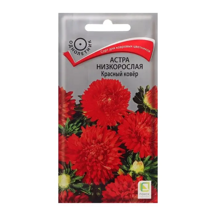 Семена цветов Астра низкорослая "Красный ковер", 0,2 г