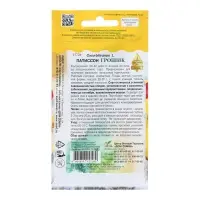 Семена Патиссон "Грошик", 10 шт