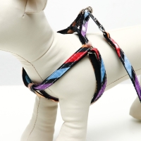 Комплект амуниции двухслойный, S, поводок 120х1 см,ОШ 24-38 ОГ 29-41 см, разноцветные полосы   96837