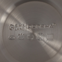 Чайник со свистком из нержавеющей стали Доляна Snow, 3 л, индукция, цвет золотой Чайник со свистком из нержавеющей стали Доляна Snow, 3 л, индукция, цвет золотой