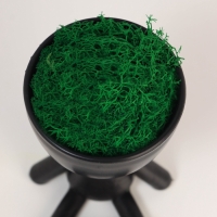 Кашпо пластиковое "Мистер Грин йог" 10,5*7,5*7,3 см черный