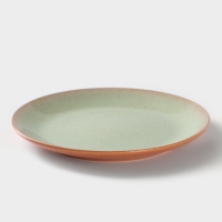 Тарелка ColorLife, d=24 см, h=2,5 см, цвет зелёный