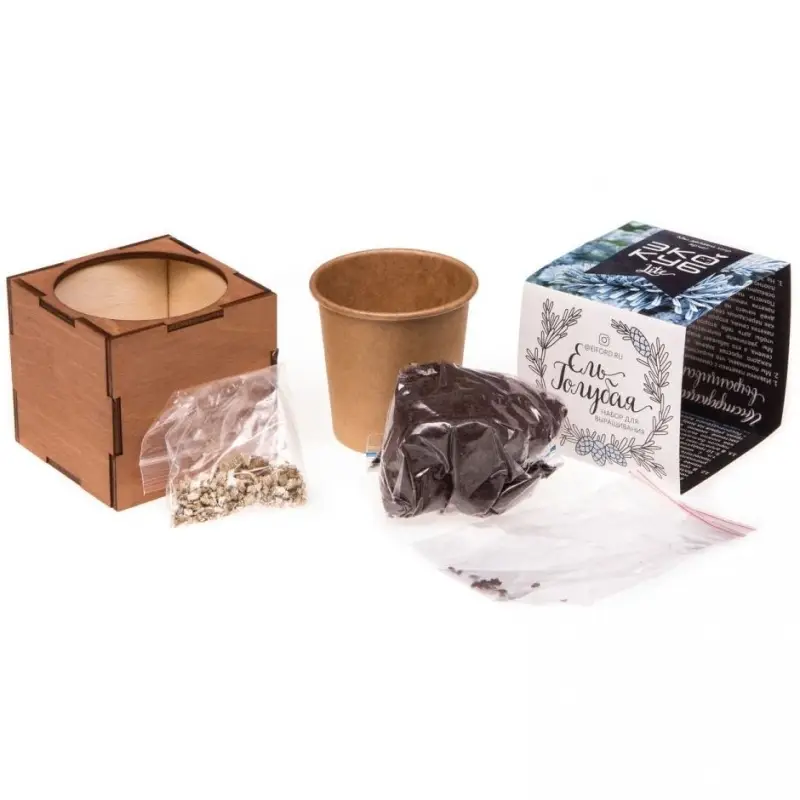 Набор для выращивания &laquo;Экокуб Lite&raquo;, ель голубая