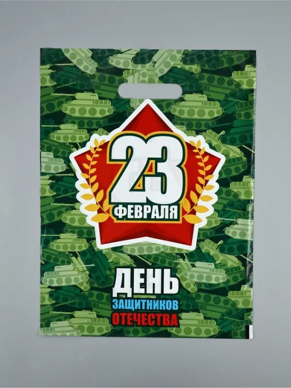 Пакет &laquo;День Защитника Отечества&raquo;, полиэтиленовый с вырубной ручкой, 30&times;40 см, 50 мк