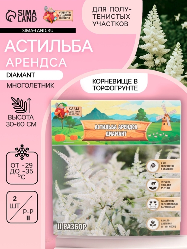 Астильба Арендса Diamant многолетник, корневище в торфогрунте, р-р II, 2 шт.