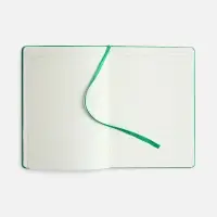 Ежедневник Vale New, недатированный, зеленый