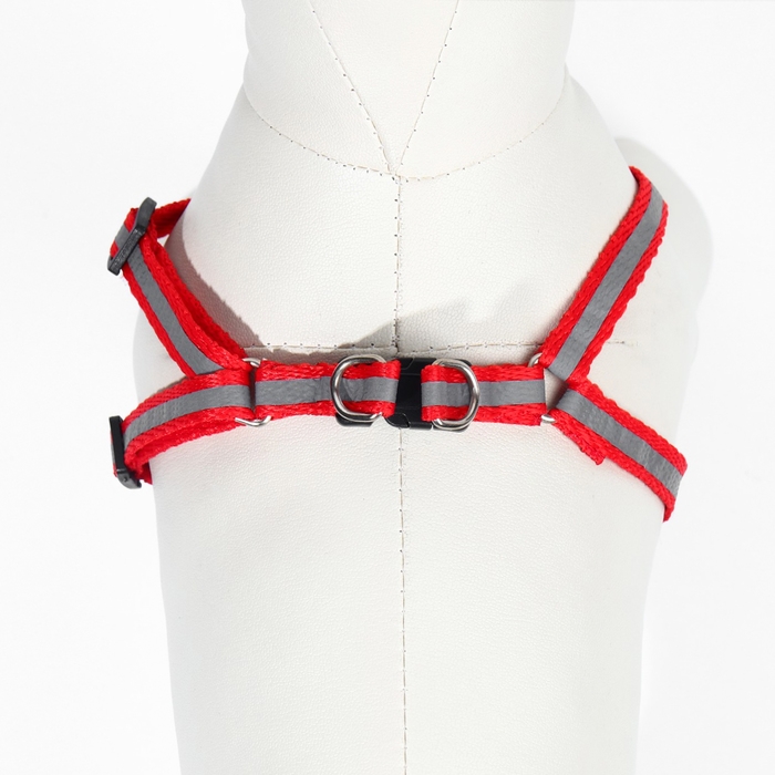 Комплект со светоотражающей лентой, ошейник 120 х 1 см, ОГ 26-40 см, красный