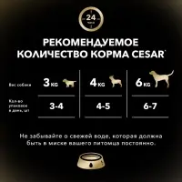 Влажный корм Cesar для собак, ягненок с овощами в соусе, пауч, 85 г