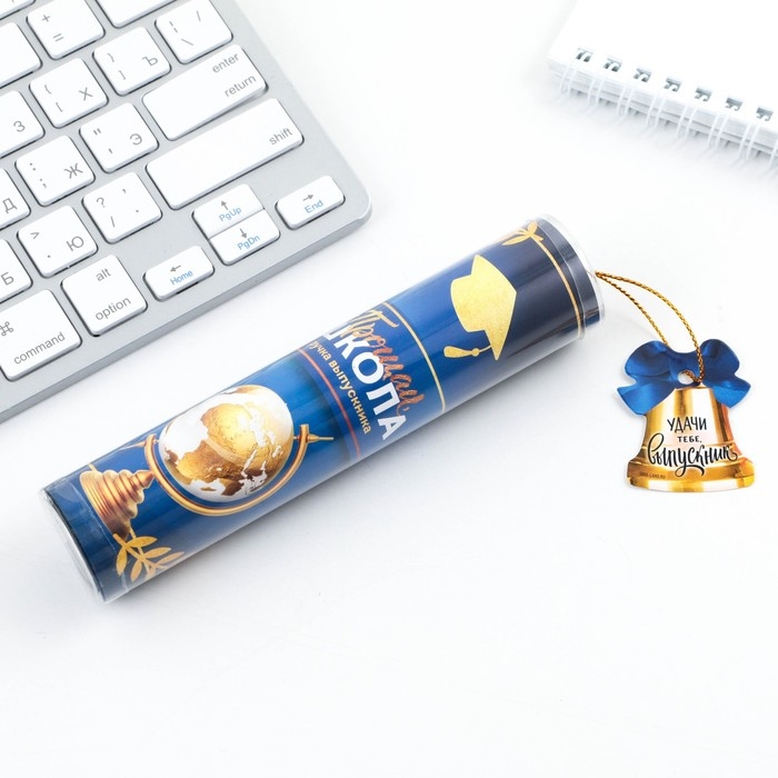 Ручка шариковая на выпускной в тубусе &laquo;Прощай школа&raquo; пластик, синяя паста, 1.0 мм