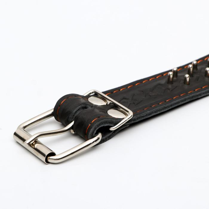 Ошейник кожаный двухслойный клёпаный Ошейник кожаный двухслойный клёпаный "Ёж", 65 х 3,5 см, ОШ 50-60 см, чёрный