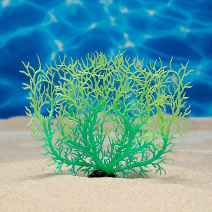 Растение искусственное аквариумное, светящееся, 15 см, зелёное Растение искусственное аквариумное, светящееся, 15 см, зелёное