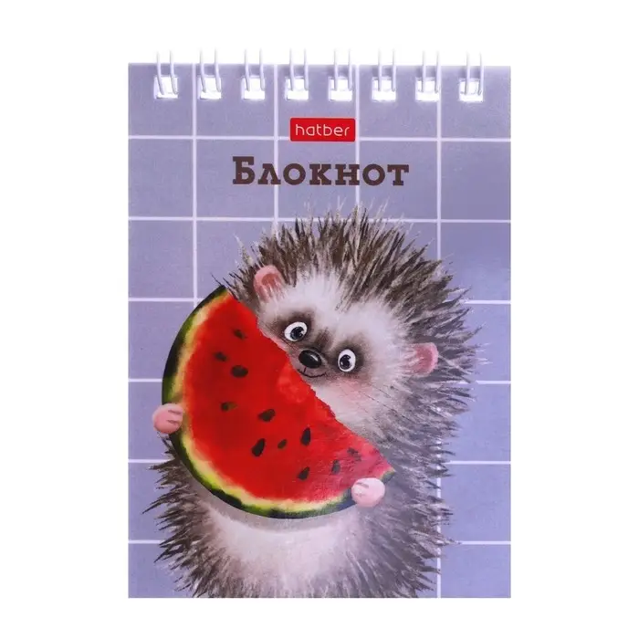 Блокнот А7, 40 листов на гребне в клетку "Хорошо быть ёжиком", обложка мелованный картон, блок офсет 65 г/м2