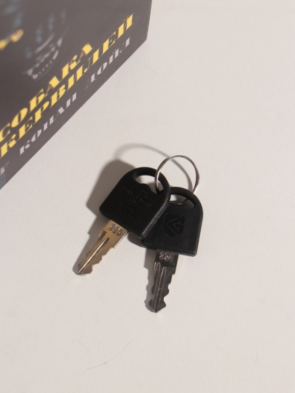 Сейф-книга дерево кожзам Сейф-книга дерево кожзам "Артур Конан Дойл. Собака Баскервилей" 21х13х5 см